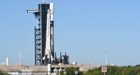2021-12-09t034844z_358168668_mt1usatoday17323090_rtrmadp_3_a-spacex-falcon-9-rocket-sits-on-pad-39a-at-kennedy-space